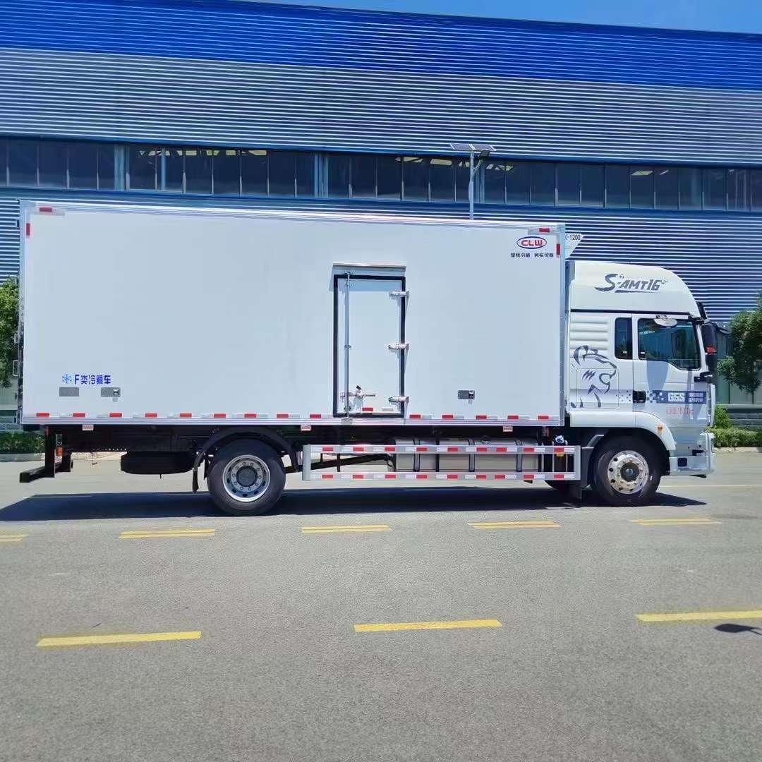 10 wheels HOWO 6m Cargo Box Freezer Refrigerator Van Truck Refrigerator Box Truck - Image 9