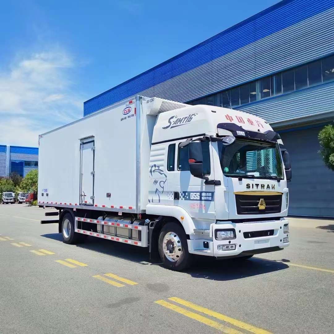 10 wheels HOWO 6m Cargo Box Freezer Refrigerator Van Truck Refrigerator Box Truck - Image 8