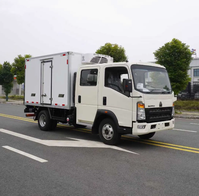 HOWO Double Cab 4X2 Small Refrigerated Meat Vegetable Freezer Truck - Image 4